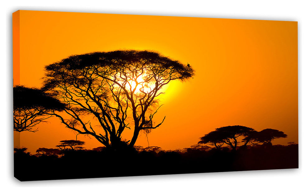 Beautiful African Sunset in Savannah, African Landscape Canvas Print, 32"x16"