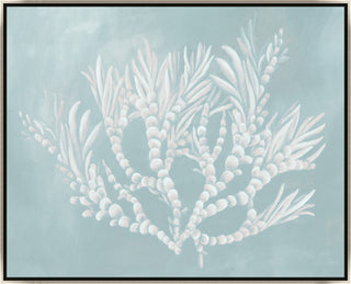 Ivory Reef II, 50 x 40