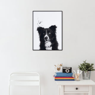 "Border Collie" Black and White Pet Art on Printed Glass with Anodized Frame