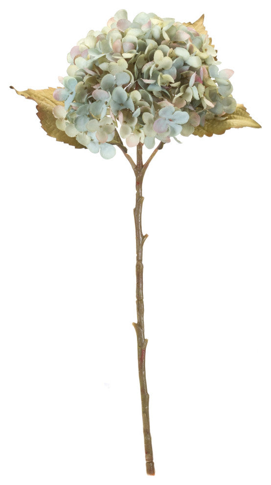 Hydrangea Stem, Set of 6