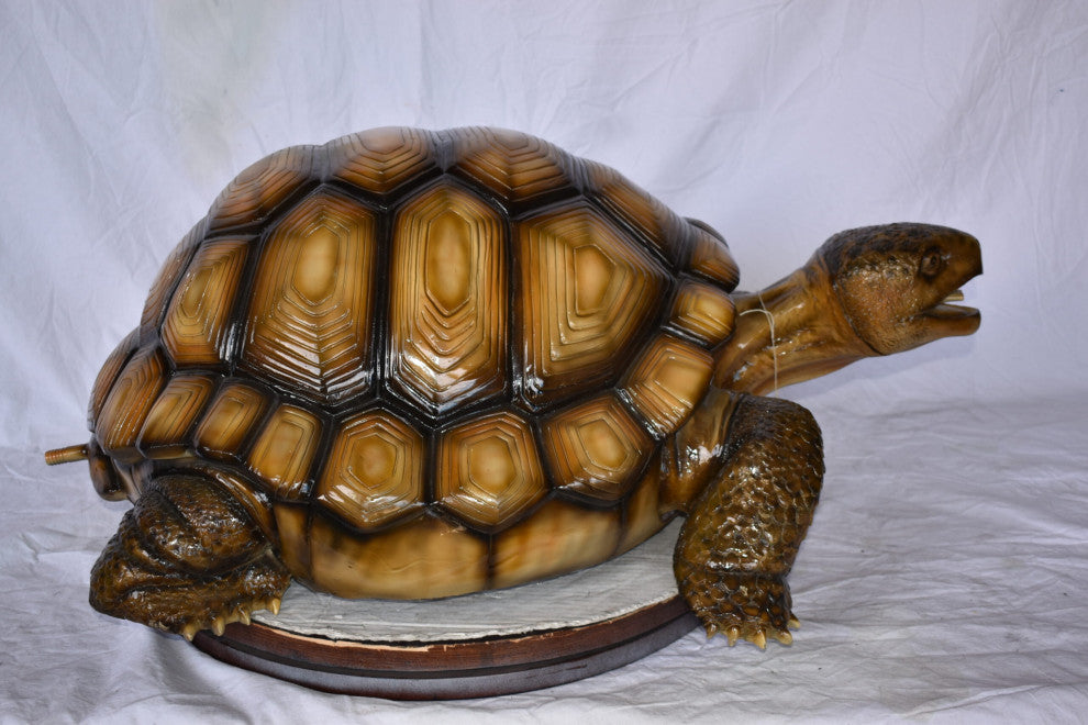 Giant Tortoise Turtle Fountain Light Brown Finish Bronze Statue 24"x 38" x 16