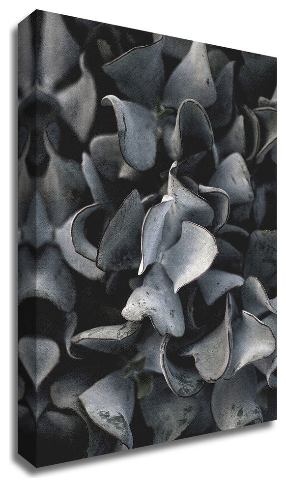 Secret 10 by Design Fabrikken, Print on Canvas, 25"x35"