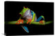 "Curiosity" Stretched Canvas Giclee by Ferdinando Valverde, 22x16"