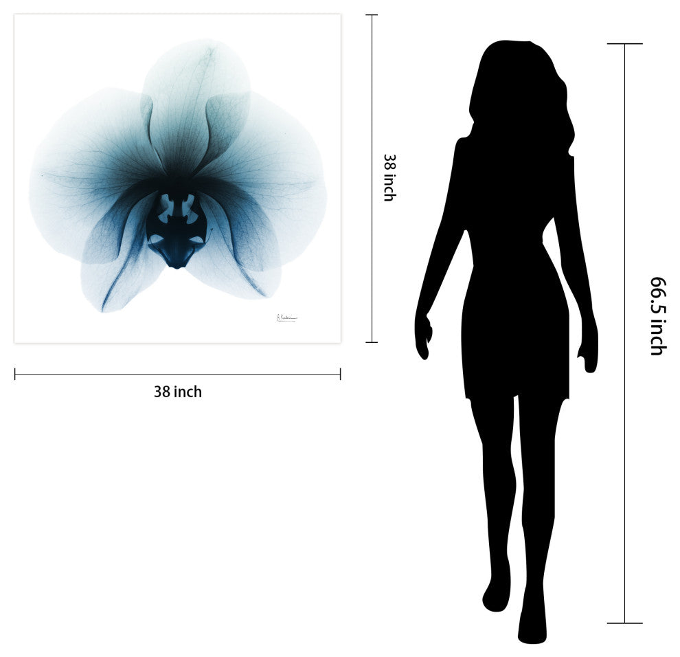 "Glacial Orchid" Frameless Free Floating Panel Graphic Wall Art, 38"x38"