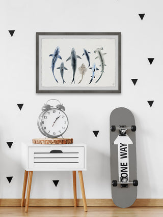 "Shark Types II" Framed Painting Print, 18"x12"
