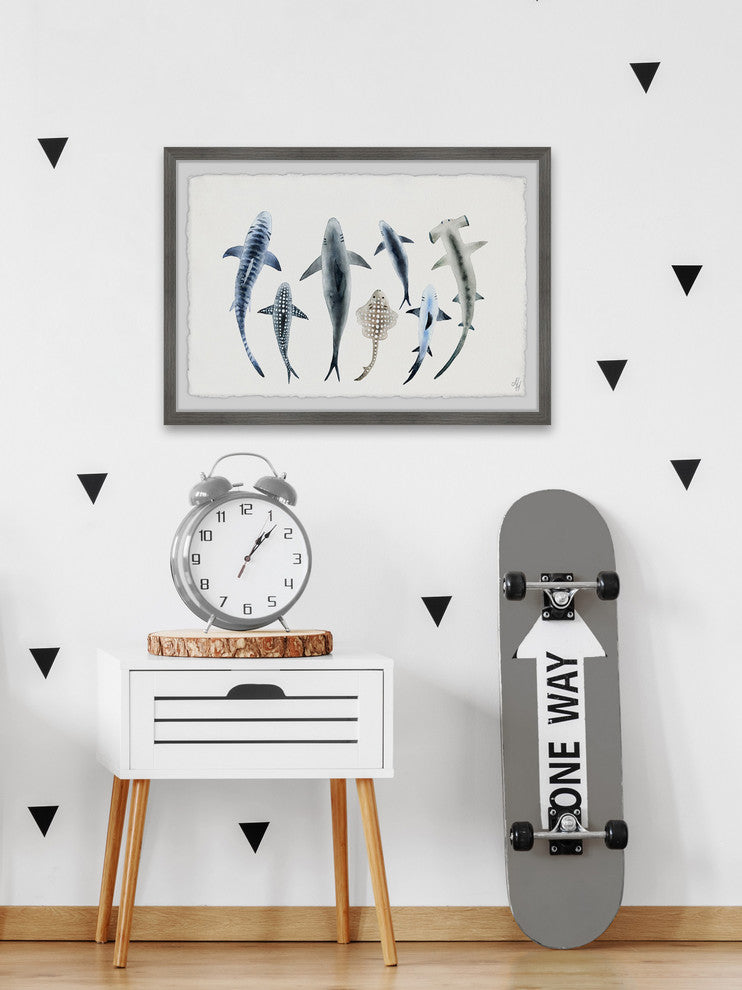 "Shark Types II" Framed Painting Print, 18"x12"