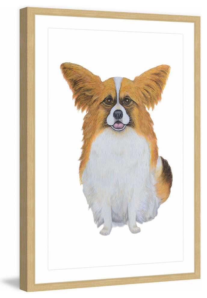 "Papillon Pomeranian" Framed Painting Print, 20"x30"