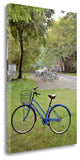 "Japan Bicycle - 8" By Alan Blaustein, Giclee Print on Gallery Wrap Canvas