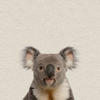 "Playful Koala" Painting Print, Wrapped Canvas, 40"x40"