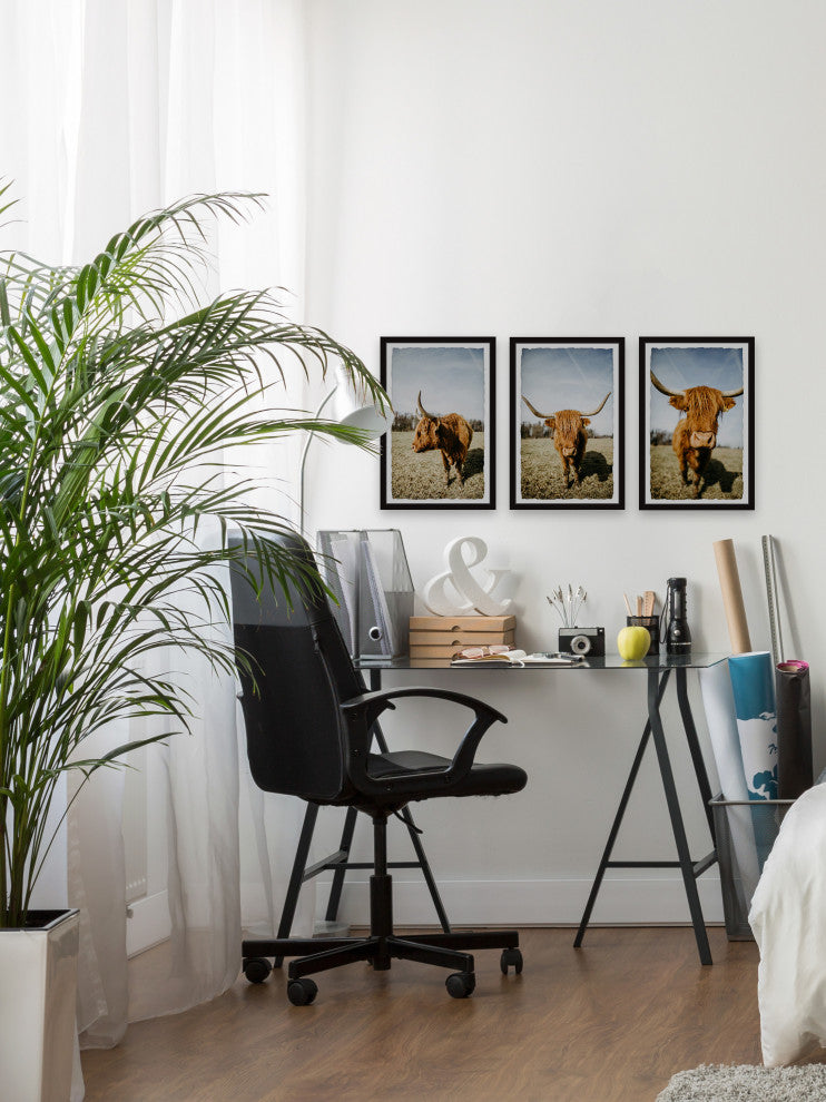 Sweeping Horns Triptych, Set of 3, 12x18 Panels