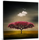 "Medusa Cloud" Wrapped Canvas Art Print, 24"x24"x1.5"