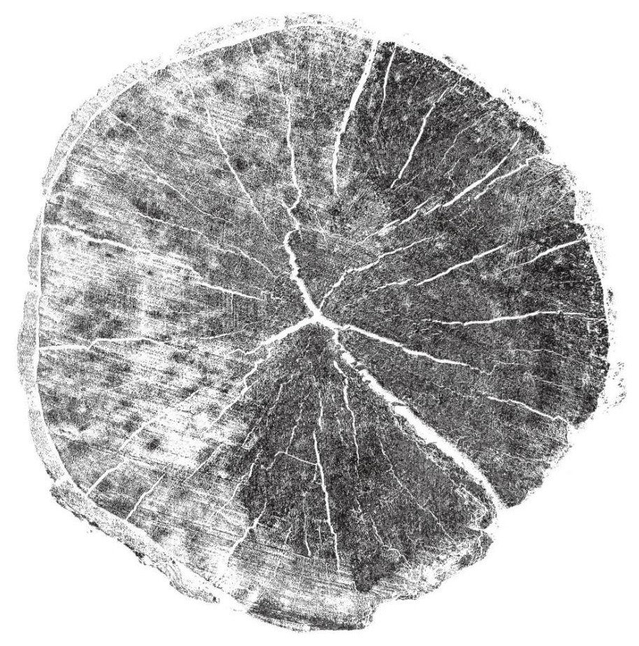 "Woodland Years I with Silver Foil" Paper Print by Sue Schlabach, 26"x26"