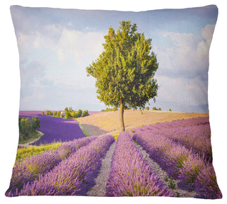 Lonely Green Tree in Lavender Field Landscape Printed Throw Pillow, 16"x16"