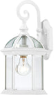 Boxwood 1-Light 15" Outdoor Wall, White