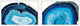 Blue Pools Diptych, 90x30
