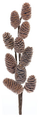 Pine Cone Spray, Set of 6
