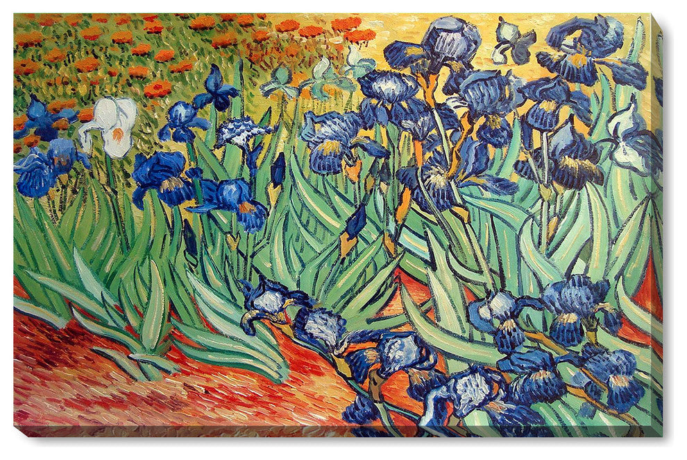 Irises