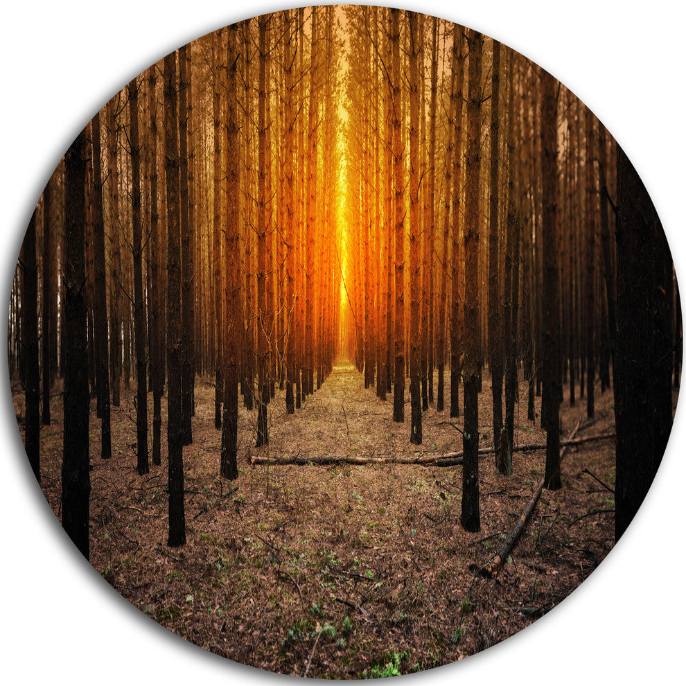 Halloween-Themed Spooky Dark Forest, Forest Disc Metal Wall Art, 36"