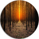 Halloween-Themed Spooky Dark Forest, Forest Disc Metal Wall Art, 36"