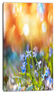 Little Flowers Meadow with Snowdrops, Floral Canvas Art Print, 16"x32"