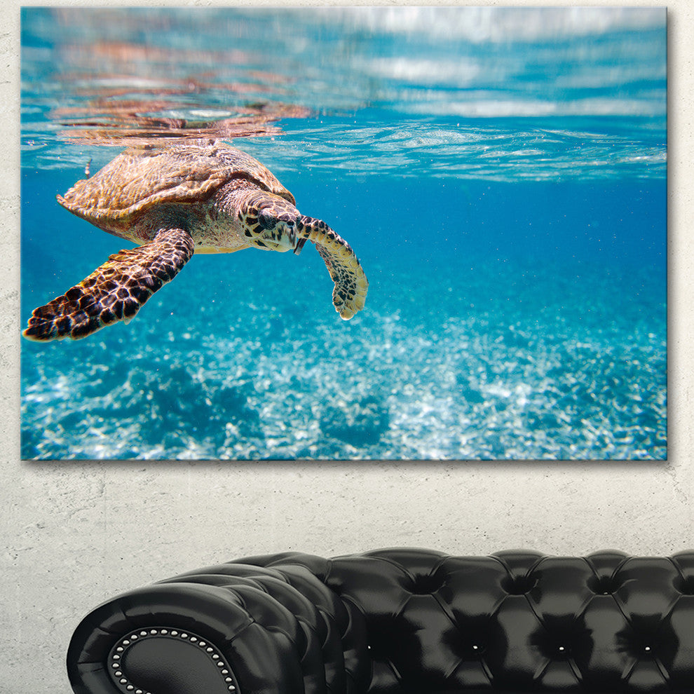 Large Hawksbill Sea Turtle, Abstract Canvas Art Print, 40"x30"