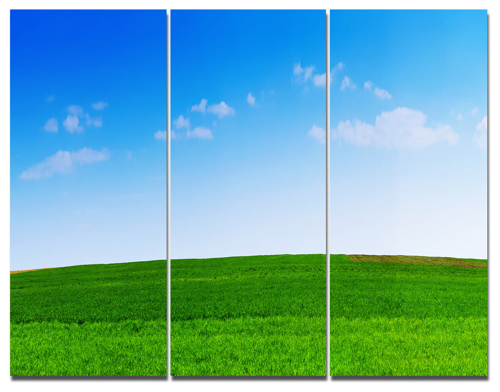 Green Meadow Panorama, Landscape Triptych Canvas Art Print, 36x28, 3 Panels