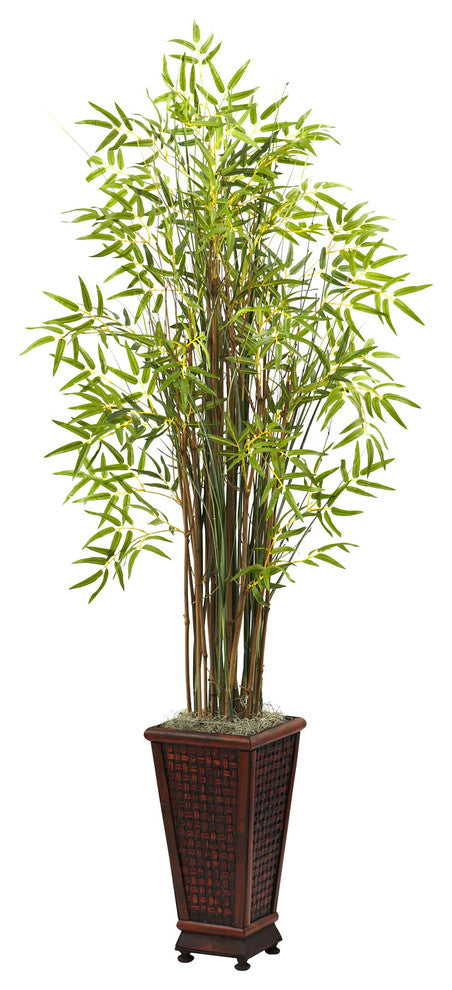 5 5" Grass Bamboo Plant With Decorative Planter