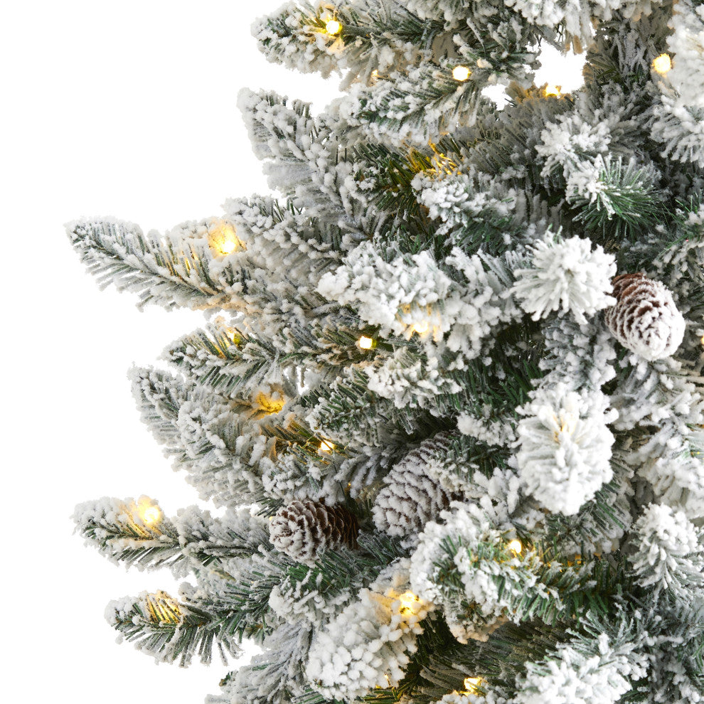 5ï¿½ Flocked Livingston Fir Christmas Tree / Pine Cones /200 Clear Warm LED Lights