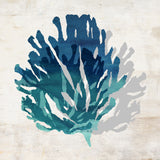 Cerulean Coral IV, 24"x24", Gallery Wrapped