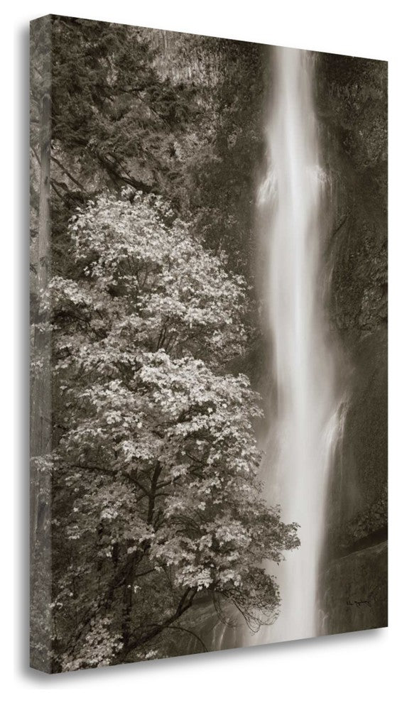 "Multnomah Falls" By Alan Majchrowicz, Giclee Print on Gallery Wrap Canvas