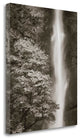 "Multnomah Falls" By Alan Majchrowicz, Giclee Print on Gallery Wrap Canvas