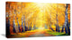 Yellow Autumn Trees in Sunray, Large Landscape Canvas Art Print, 32"x16"