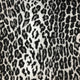 Safari Leopard Velvet Fabric, Black With Backing, With Backing