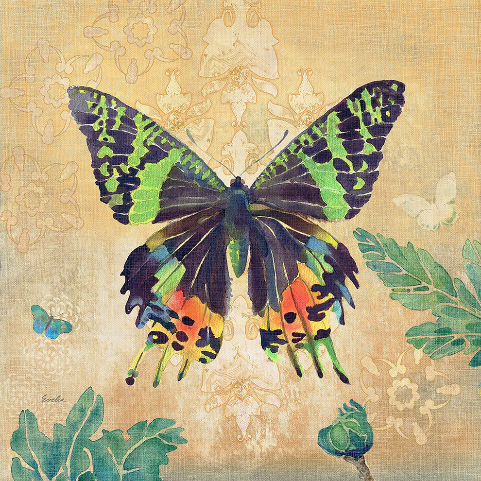 "Madagascar Sunset Butterfly" Painting Print on Canvas by Evelia