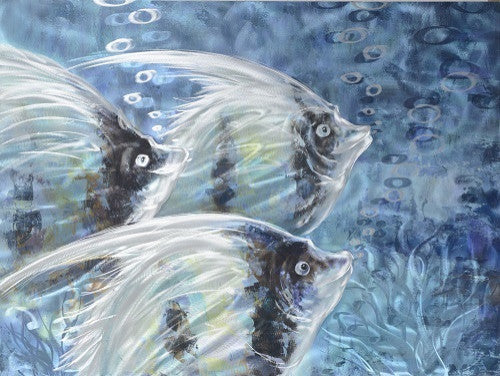 Grouping Angelfish