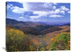 "Deciduous Forest, Blue Ridge Parkway, North Carolina" Artwork