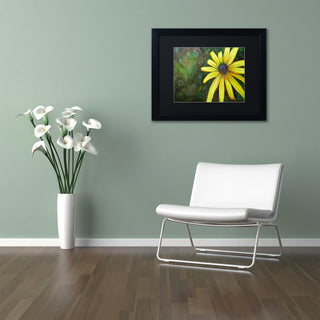 'Black Eyed Susan' Art, 16x20, Black Frame, Black Mat