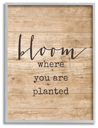 Stupell Industries Bloom Where You're Planted, 11 x 14