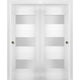 Sliding Closet Glass Bypass Doors / Sete 6003 White Silk / Rails, 36" X 80" ( 2* 18x80)