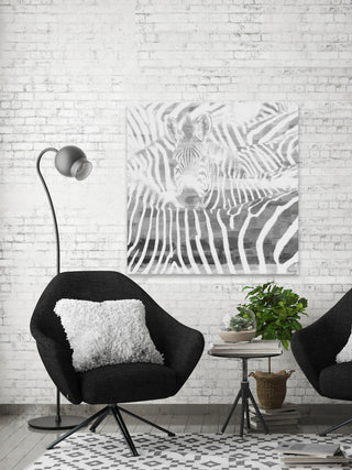 "Zebra Stare" Print on Canvas, 32"x32"