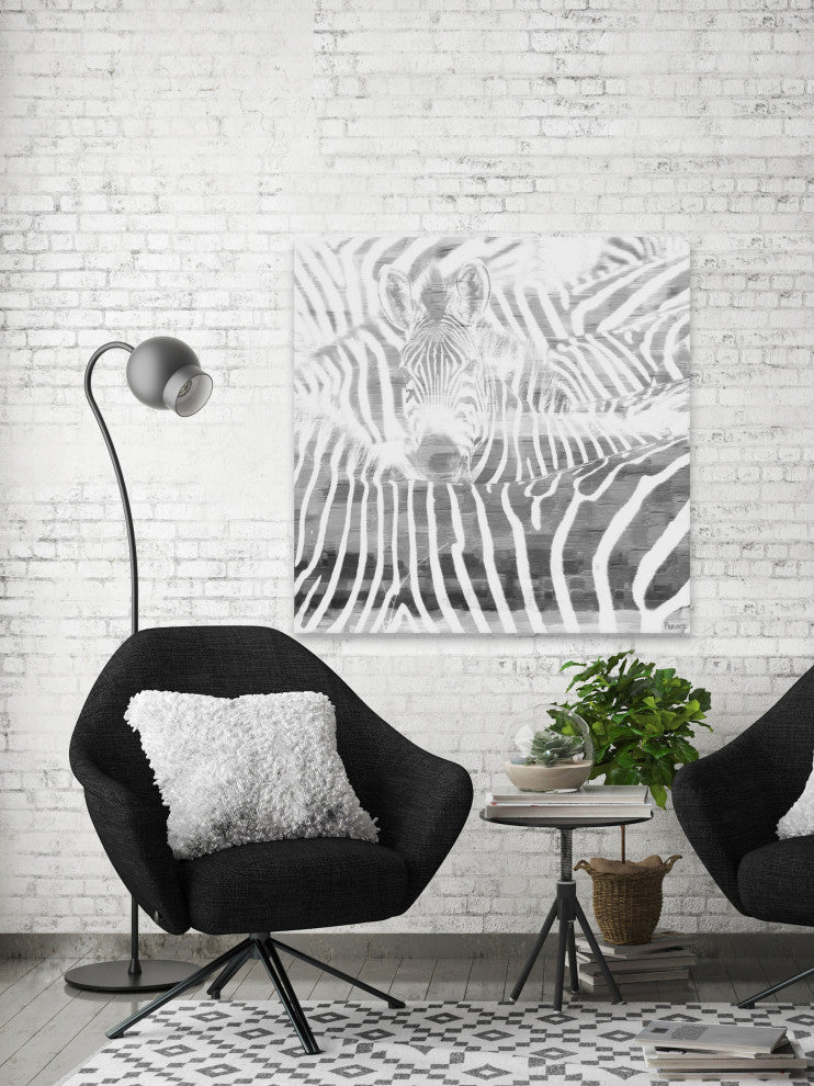 "Zebra Stare" Print on Canvas, 32"x32"