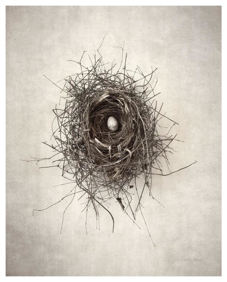 "Nest I" Digital Paper Print by Debra Van Swearingen, 22"x26"