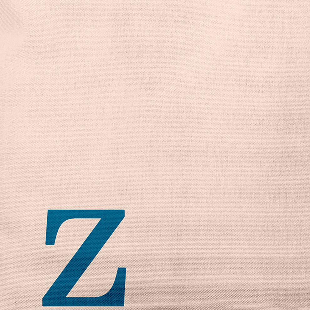 20" x 20" Modern Monogram Indoor/Outdoor Polyester Throw Pillow, Autumn Blue