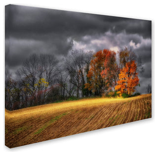 'Autumn Field' Canvas Art by Lois Bryan