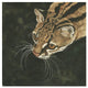 "The Margay" Digital Paper Print by Jacquie Vaux, 26"x26"