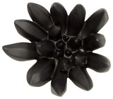 Compactum Succulent Wall Art , Smallooth Matte Black