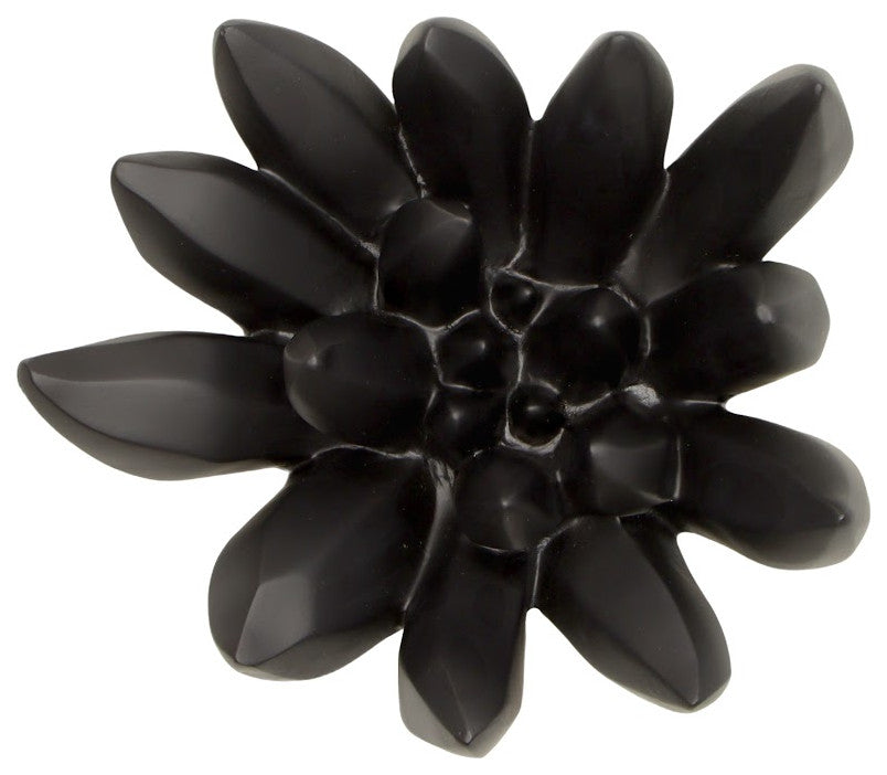 Compactum Succulent Wall Art , Smallooth Matte Black