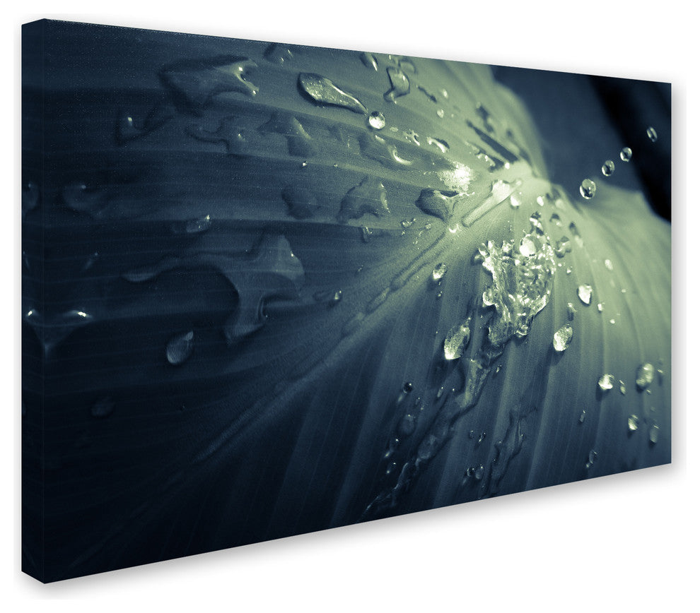 PIPA Fine Art ''Rain Dropping on Canna Leaf'' Canvas Art, 24x16