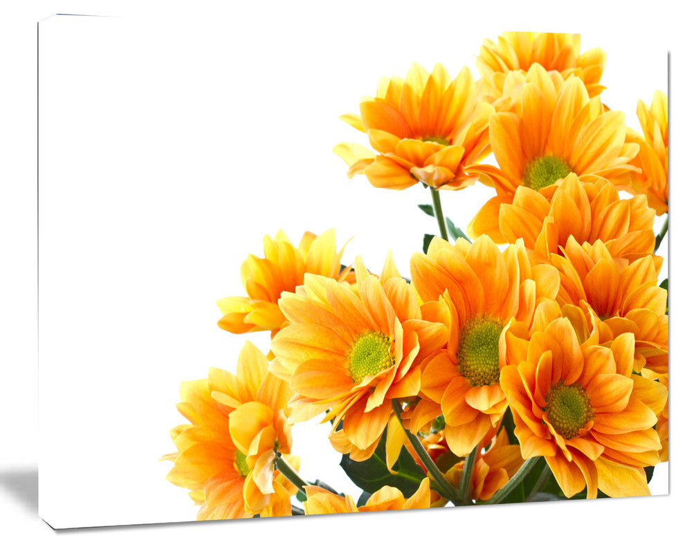 Orange Flowers Chrysanthemum, Floral Canvas Art Print, 60"x28"