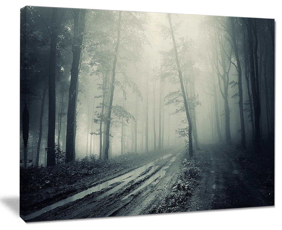 "Spooky Dark Forest With Fog" Canvas Print, 20"x12"